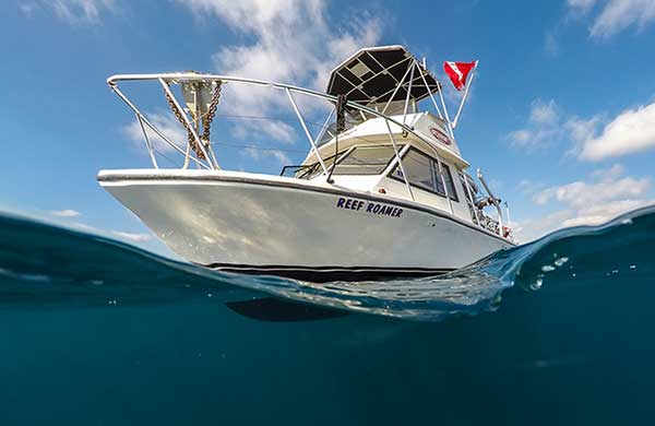 Reef Roamer Brownie's Dive Boat